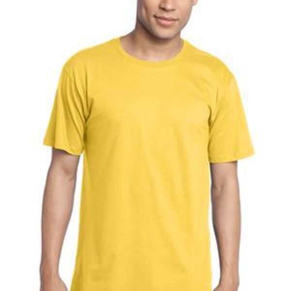 100% Organic Cotton Perfect Weight Tee Thumbnail