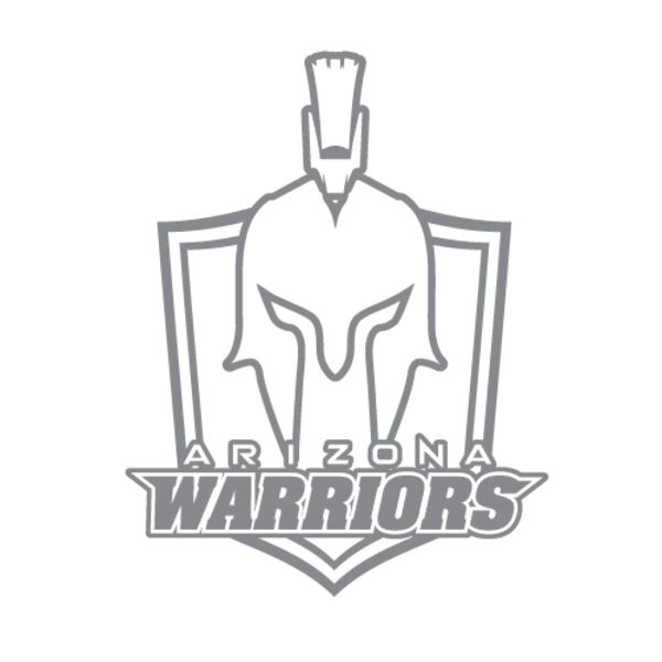Warriors Shield Graphite Thumbnail